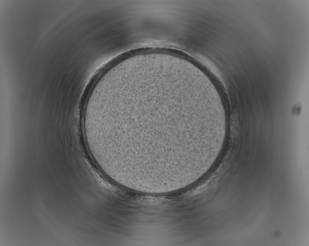 X0000094350831200711301400
