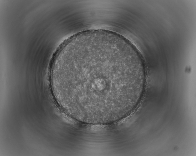X0000094350832200711301400