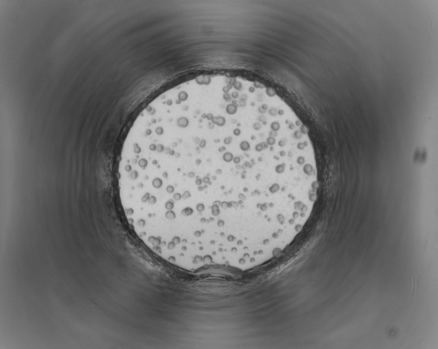 X0000094350833200711301400