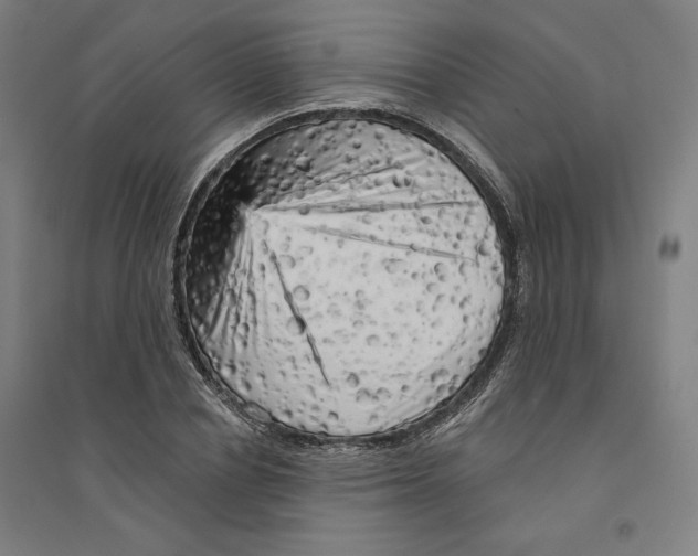 X0000094350834200711301400