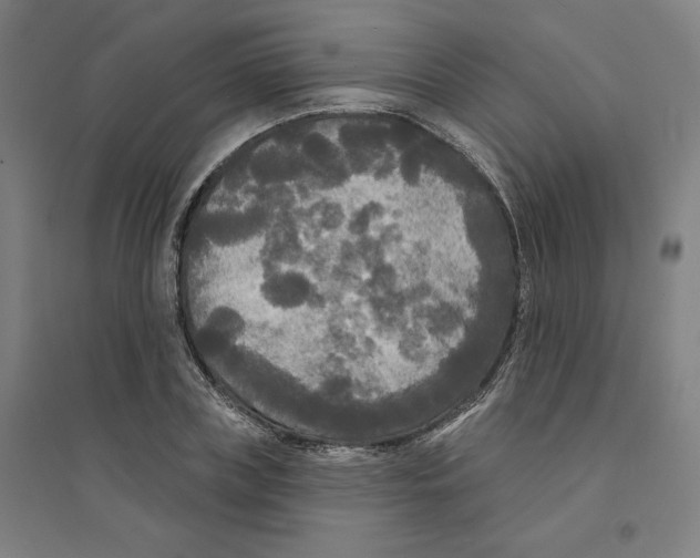 X0000094350835200711301400