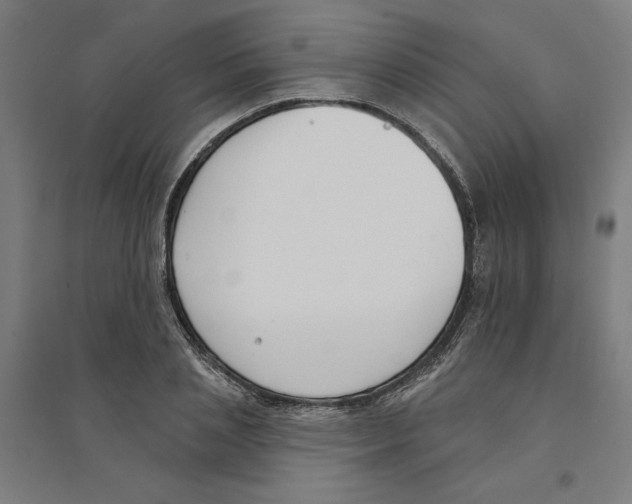 X0000094350837200711301400