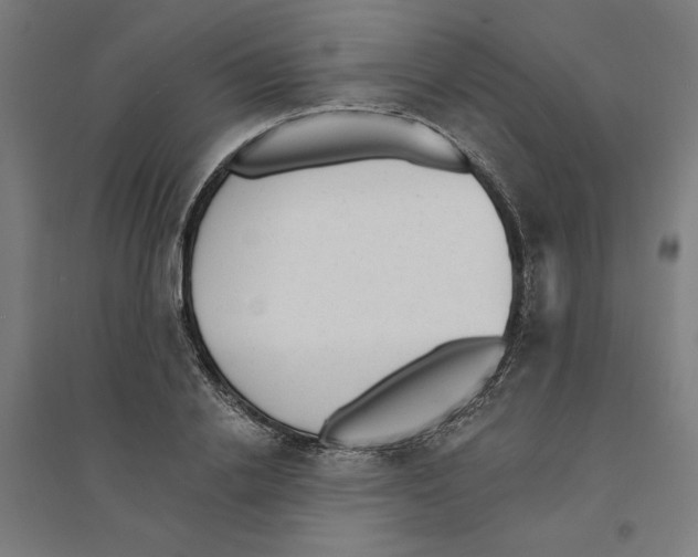 X0000094350838200711301400