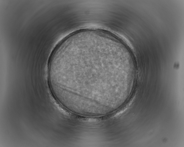 X0000094350839200711301400