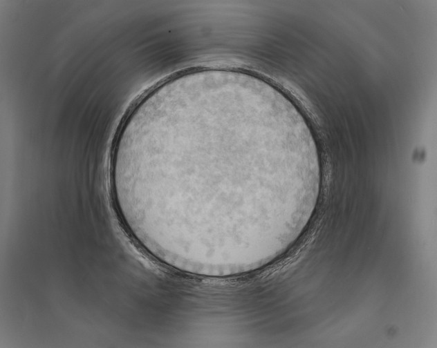 X0000094350840200711301400
