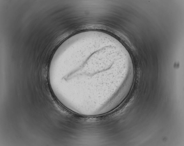 X0000094350841200711301400