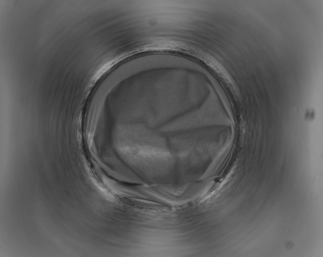 X0000094350842200711301400