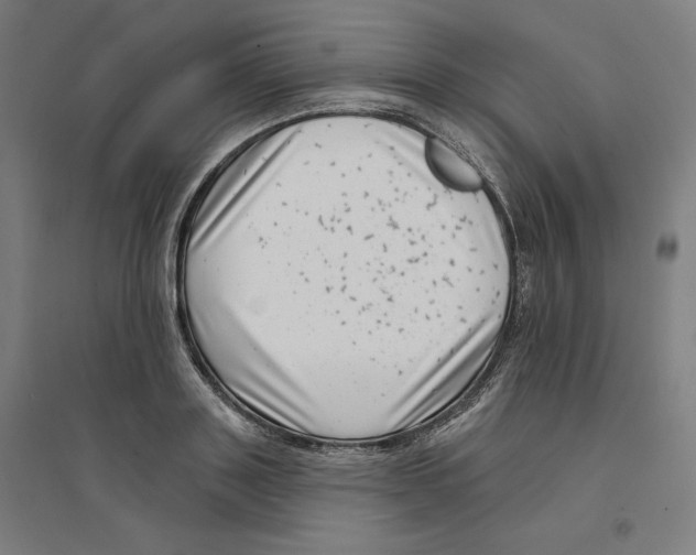 X0000094350843200711301400
