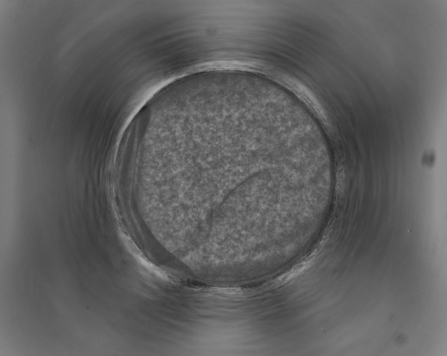 X0000094350844200711301400