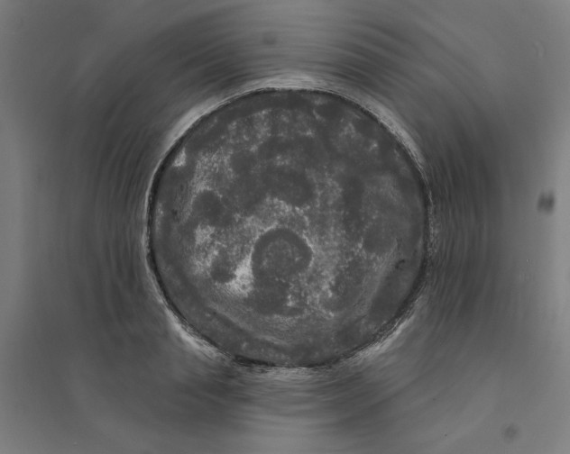 X0000094350845200711301400