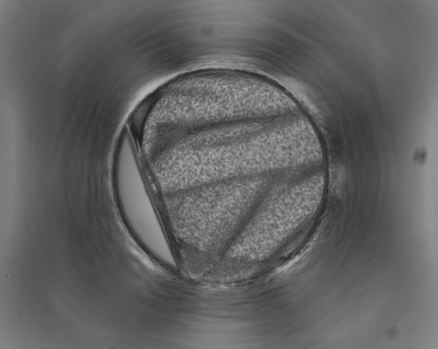 X0000094350846200711301400