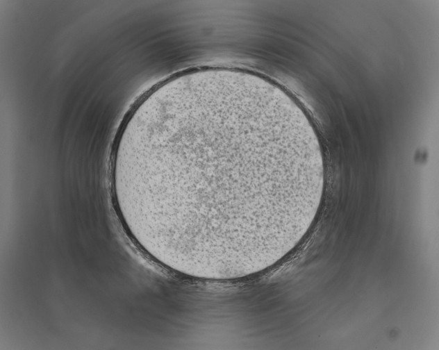X0000094350848200711301400