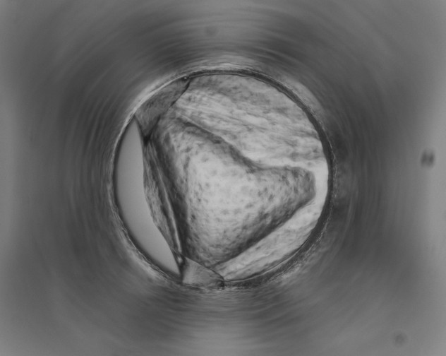 X0000094350850200711301400
