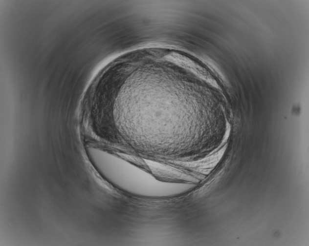 X0000094350854200711301400