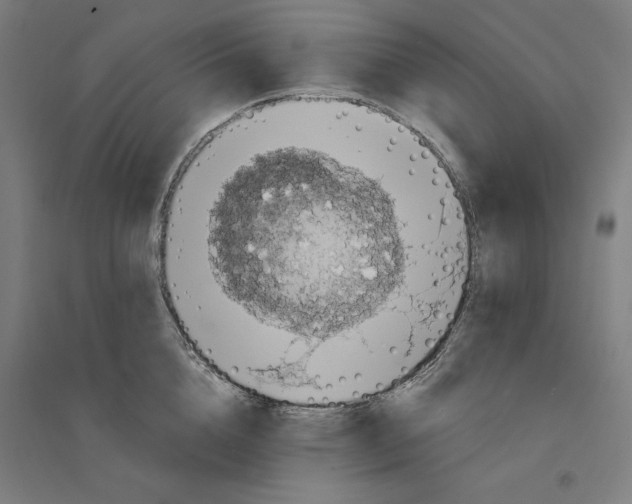 X0000094350856200711301400