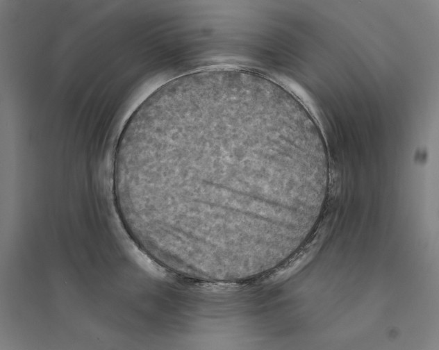 X0000094350859200711301400