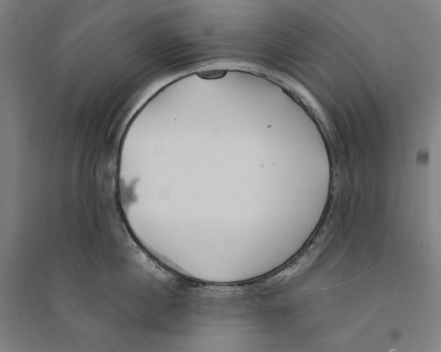 X0000094350860200711301400
