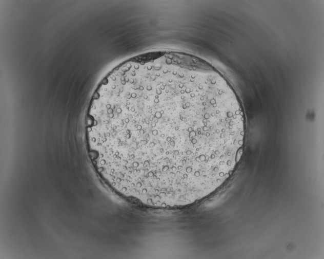 X0000094350862200711301400