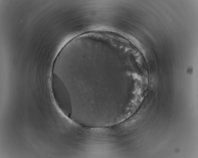 X0000094350863200711301400