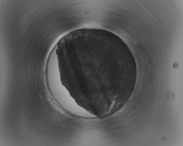 X0000094350864200711301400