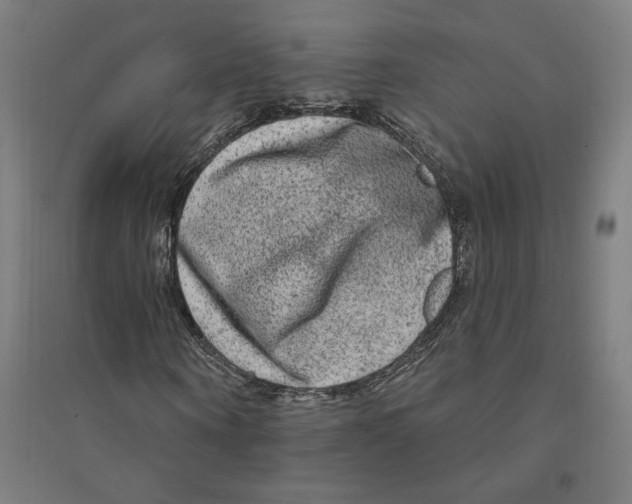 X0000094350866200711301359