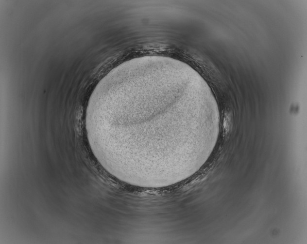 X0000094350867200711301359