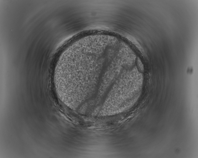 X0000094350872200711301359