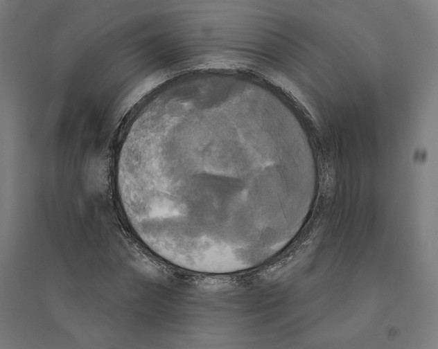 X0000094350874200711301359