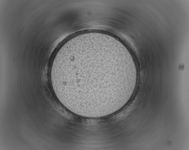 X0000094350875200711301359