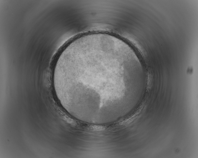 X0000094350878200711301359