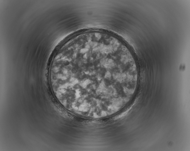 X0000094350879200711301359