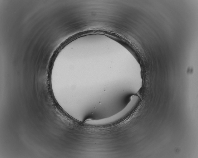 X0000094350880200711301359