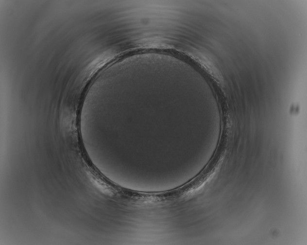 X0000094350881200711301359