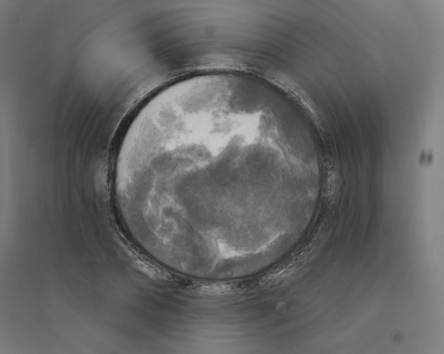 X0000094350882200711301359