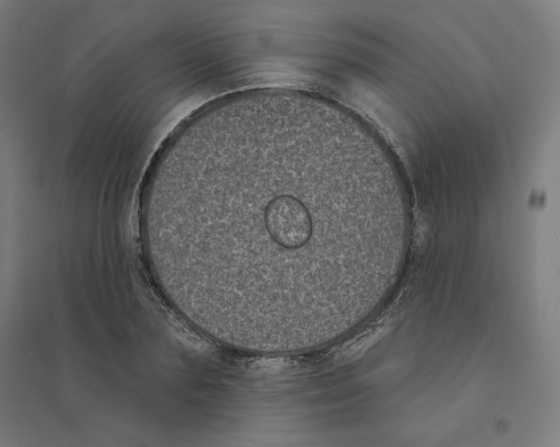 X0000094350883200711301359