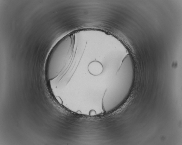 X0000094350884200711301359