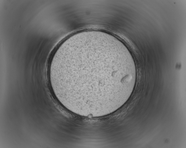 X0000094350886200711301359
