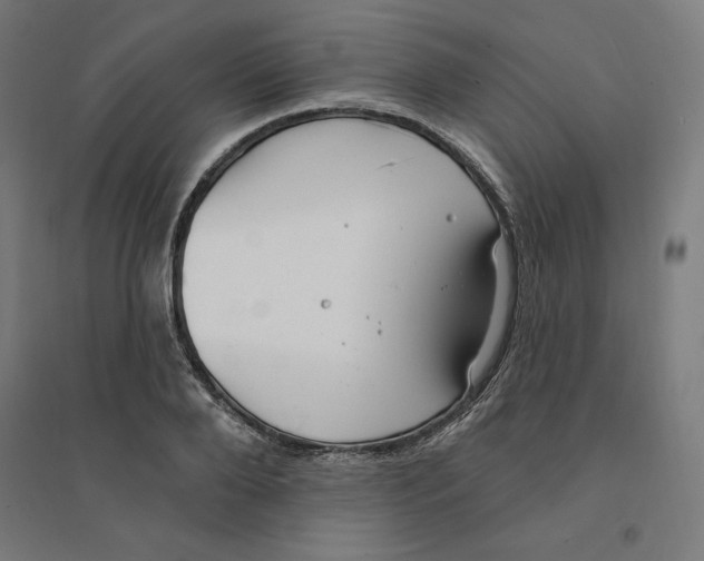 X0000094350888200711301359