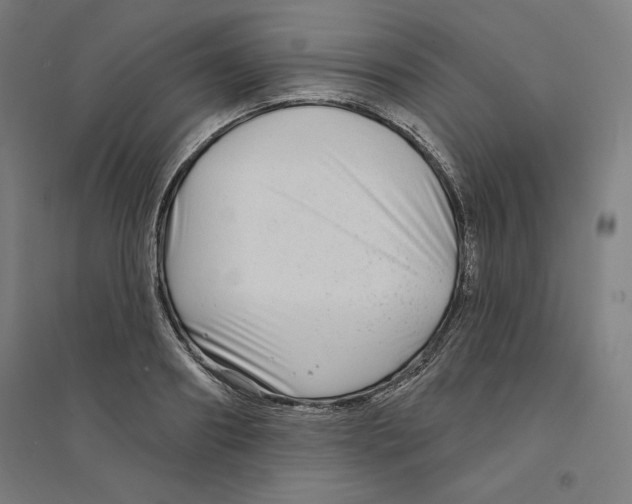 X0000094350890200711301359