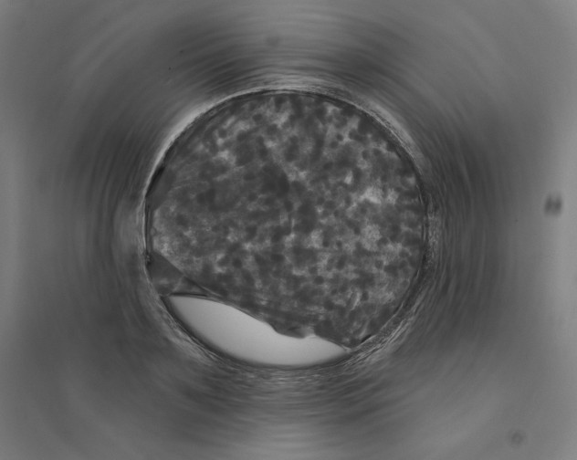 X0000094350891200711301359