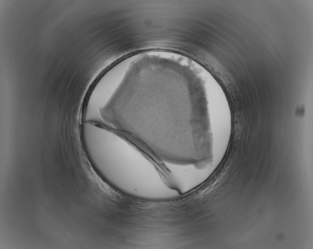X0000094350892200711301359