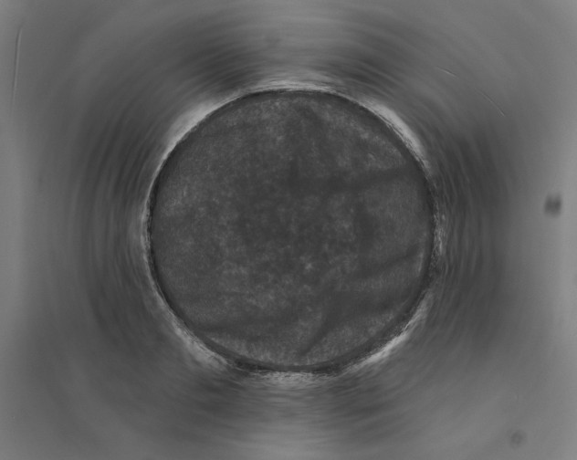 X0000094350893200711301359