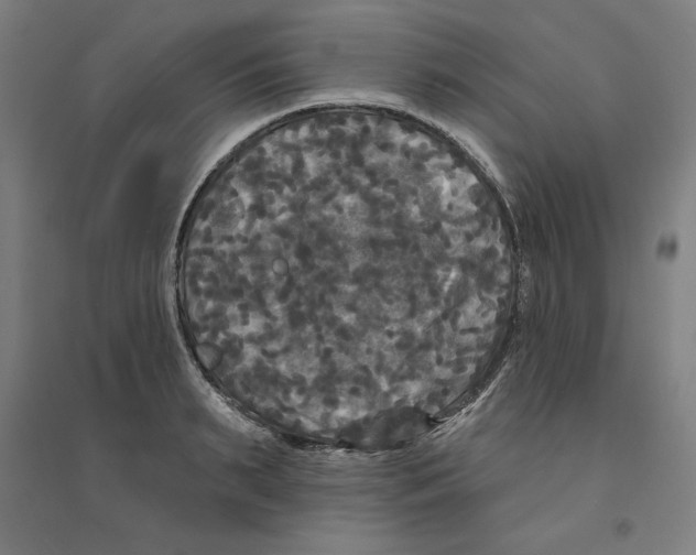 X0000094350895200711301359