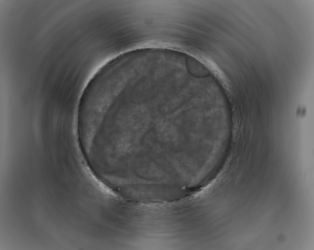 X0000094350896200711301359