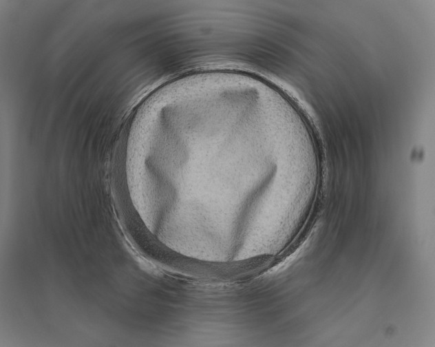 X0000094350897200711301359