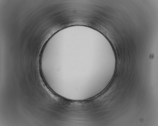 X0000094350898200711301359