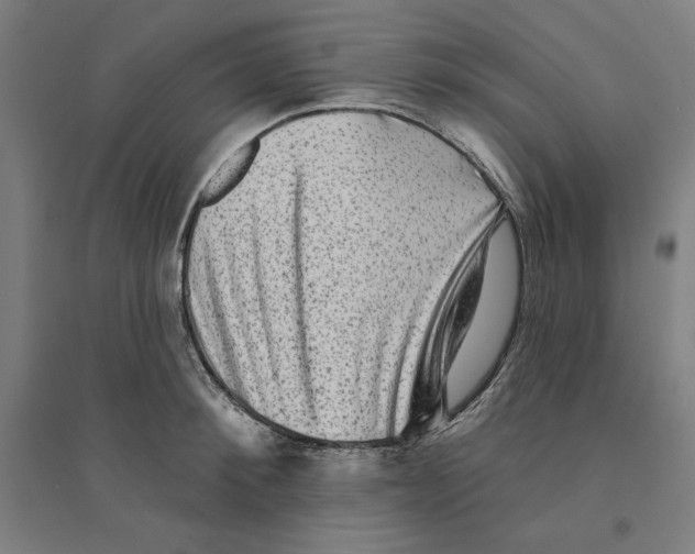 X0000094350900200711301359