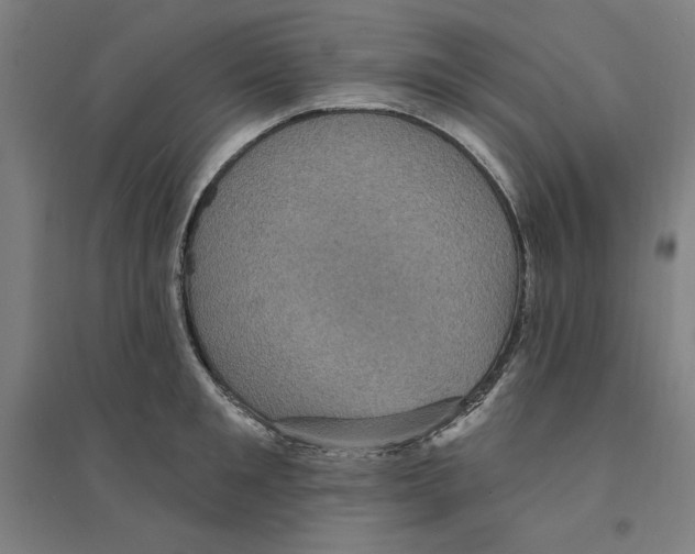 X0000094350901200711301359