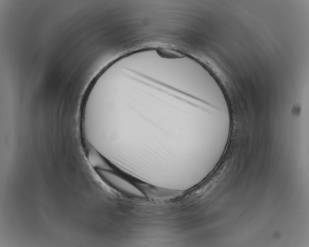 X0000094350902200711301359