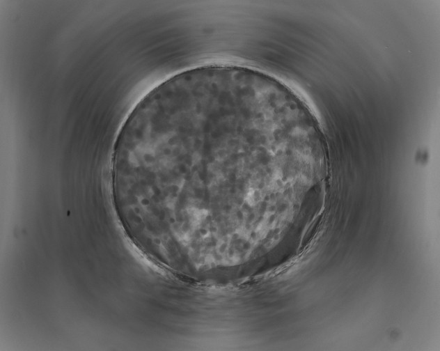 X0000094350903200711301359